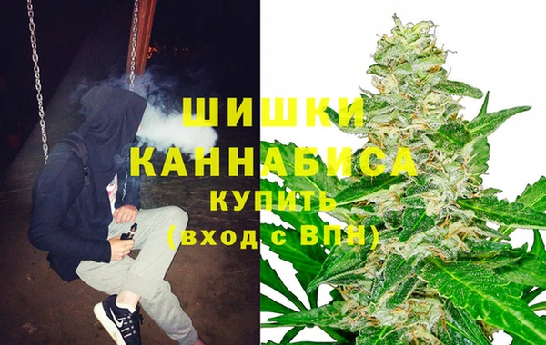 соль ск Алзамай