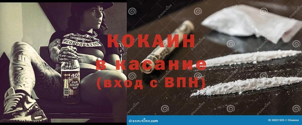 соль ск Алексин