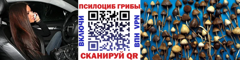Псилоцибиновые грибы GOLDEN TEACHER  Карачев 