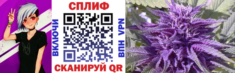 цены наркотик  Карачев  Шишки марихуана сатива 